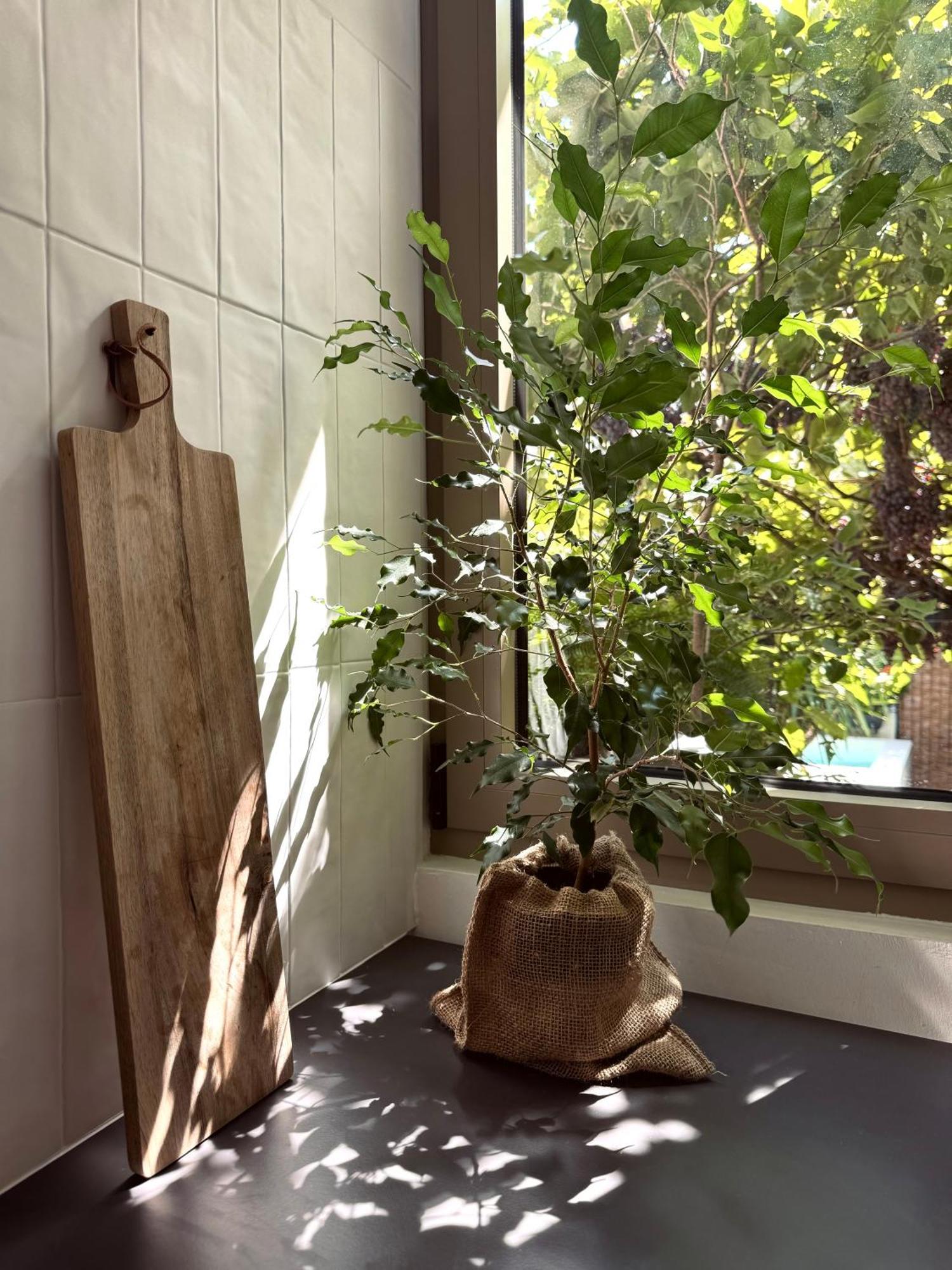 Apartmán Casa Dvornik